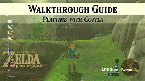 playtime with cottla botw|botw hide and seek quest.